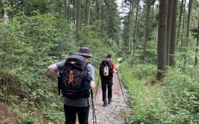 Von Leiwen nach Neumagen-Dhron (14,5 km, 496 Höhenmeter)