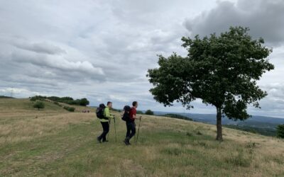 Von Schweich nach Mehring. Oder: warum uns Rentner überholen (14,7 km, 401 Höhenmeter)