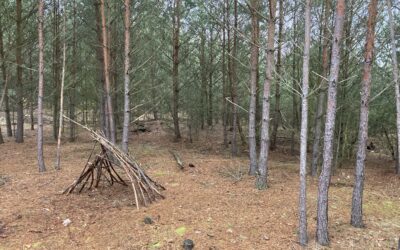 Warum wir uns ständig in einem Horrorfilm befinden und trotzdem viel Spaß haben