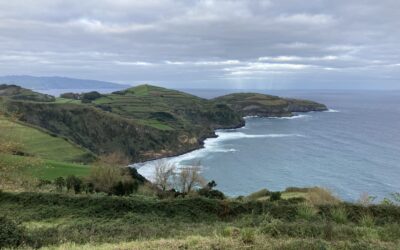 Grün, grün, grün und warum ich trotzdem rot sehe! (São Miguel/Azoren)