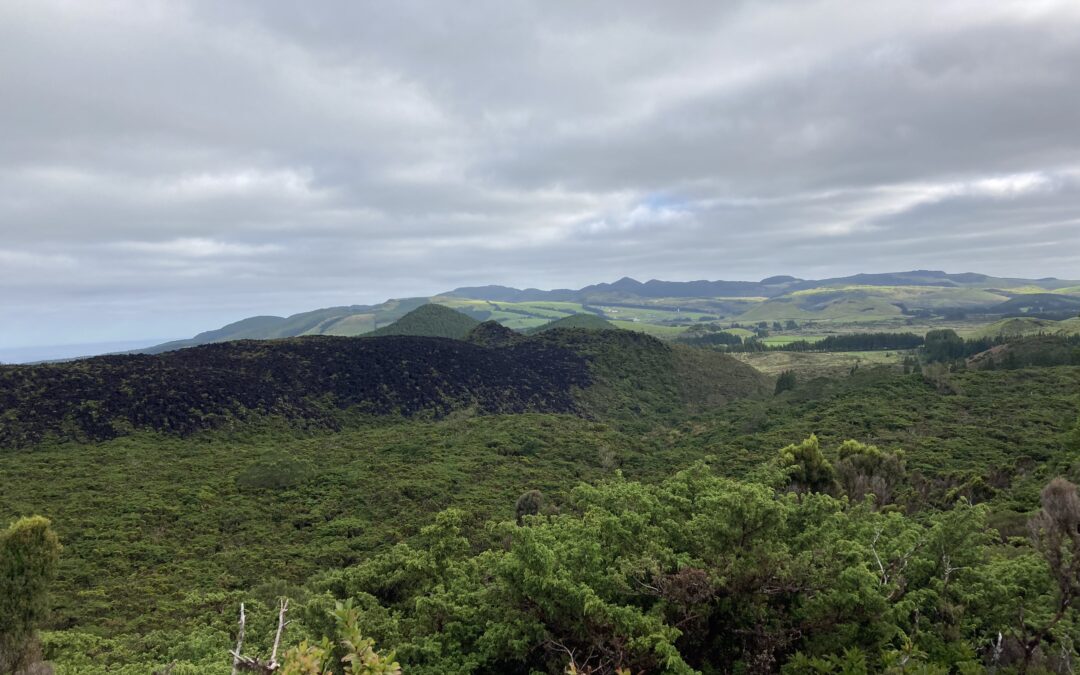 Blinder Passagier beim Wandern (Terceira/Azoren)