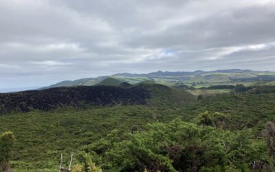 Blinder Passagier beim Wandern (Terceira/Azoren)
