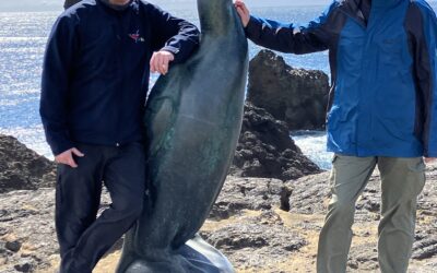 Reykjavik zum Dritten – Mega!
