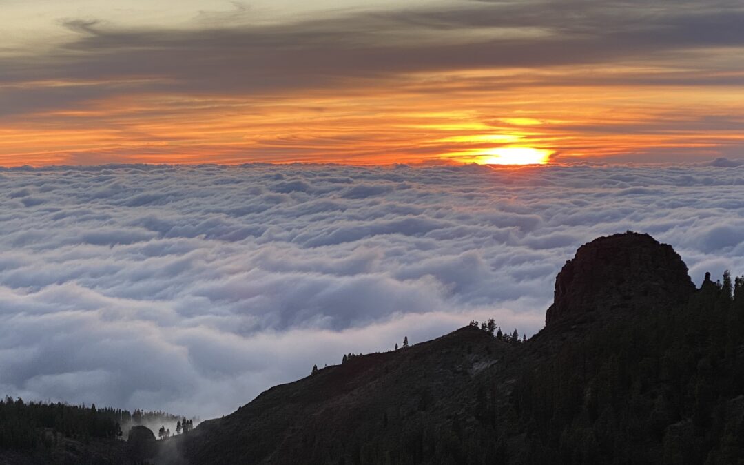 Über den Wolken – Highlights zum Urlaubsabschluss