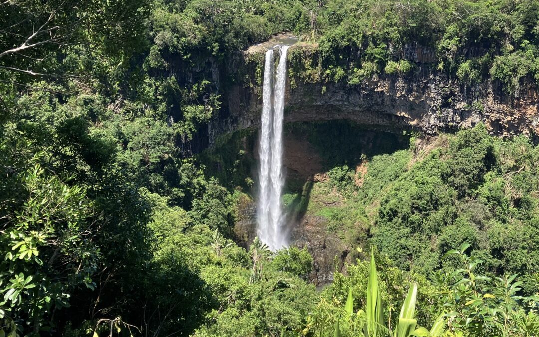 Magisches Mauritius und warum wir selten blinken