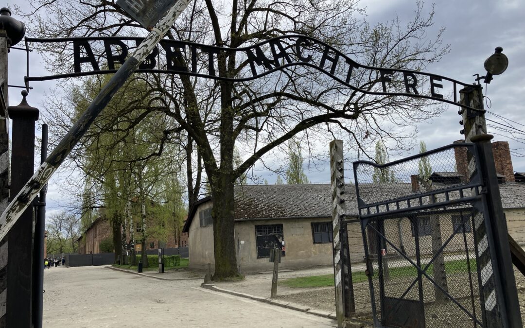 Wahnsinn, Tränen, Wut und Angst in Auschwitz