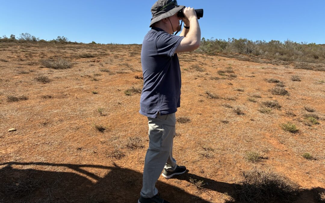 Feuer, Giraffen und Fingernägel (Port Elisabeth/Südafrika)