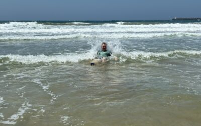 Der weiße Hai in Danger-Hausen (Eastlondon/Südafrika)